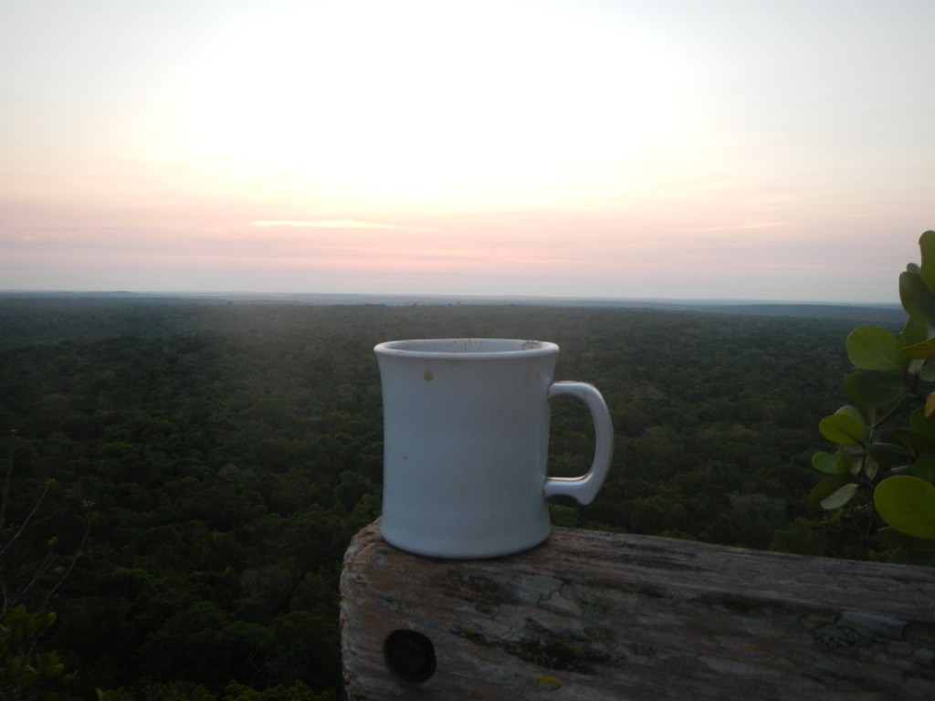 Travel Essentials for Roadtrips and Hikes