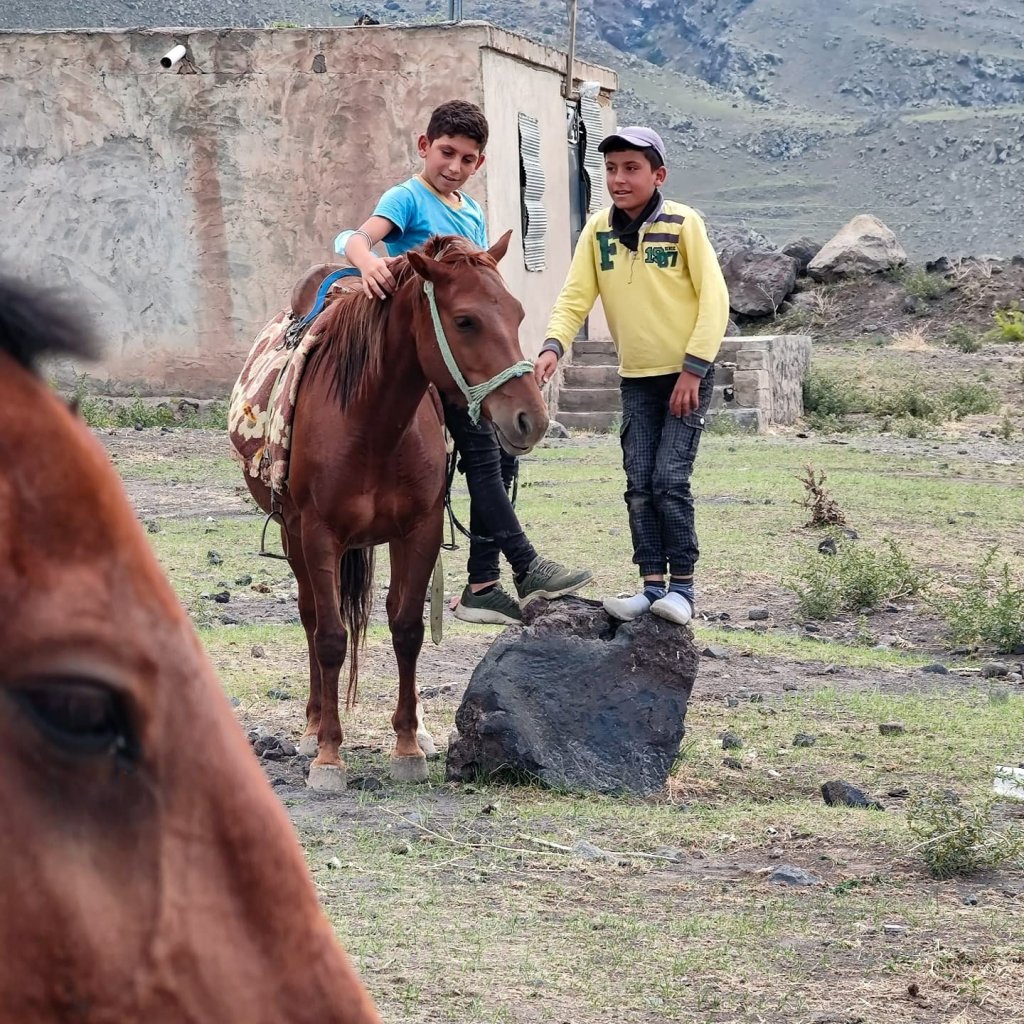 Kurdish children playing with horses at Mount Ararat.