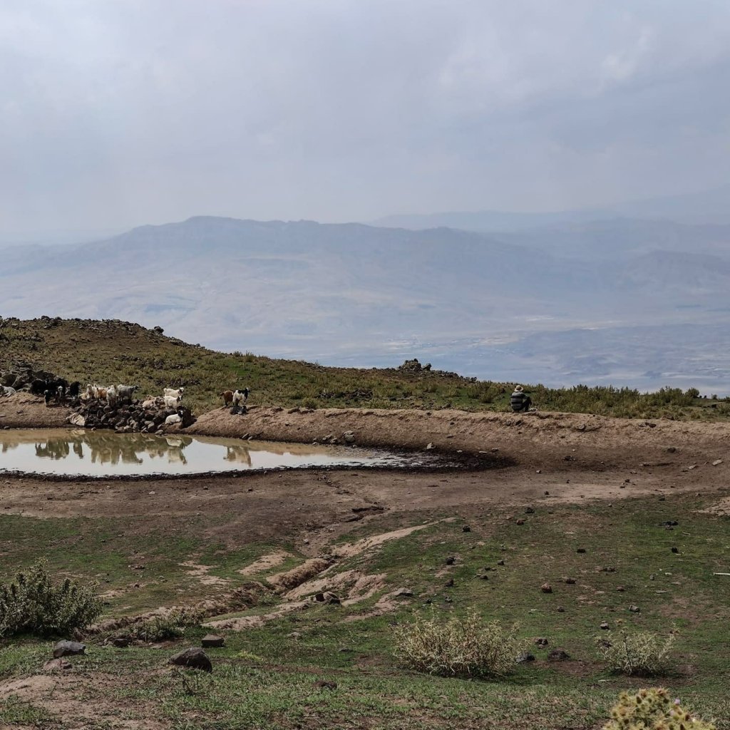 A shepherds on Mount Ararat looking at the views.