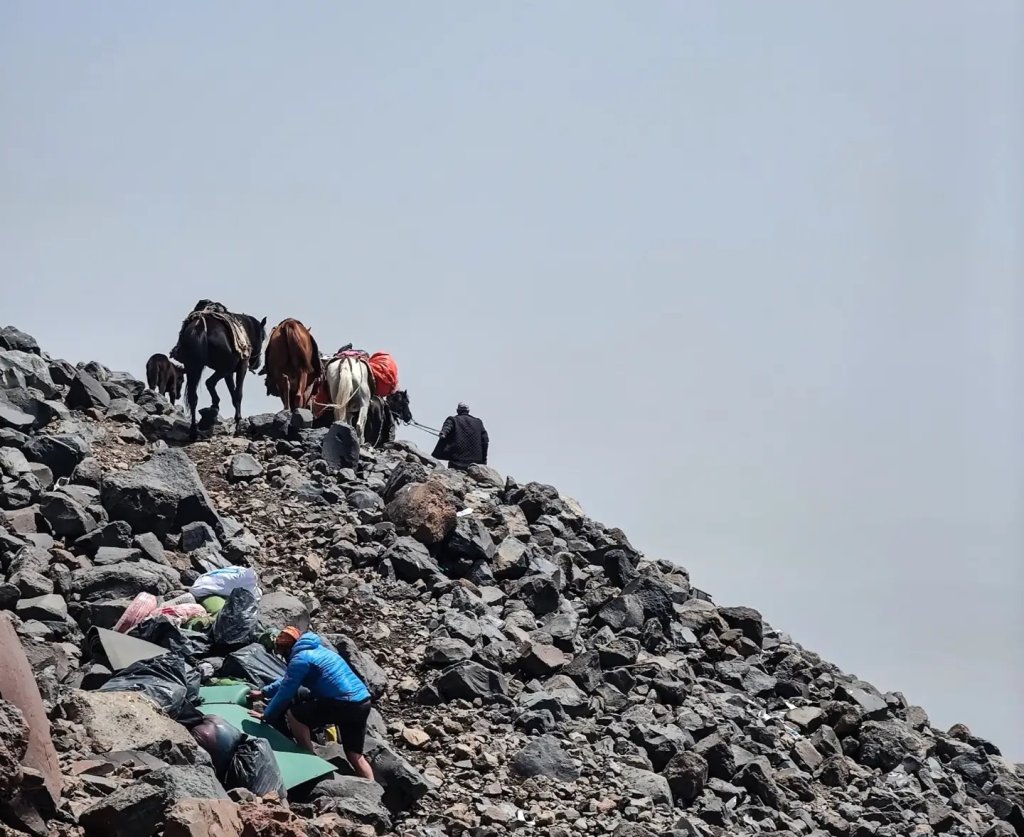 Horses at High Camp on Mount Ararat.